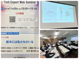 Torii Expert Web Seminar