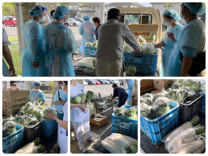 ベジタブルマーケット